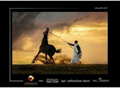 ترويض حصان.. تصوير محمود المسلاتي.