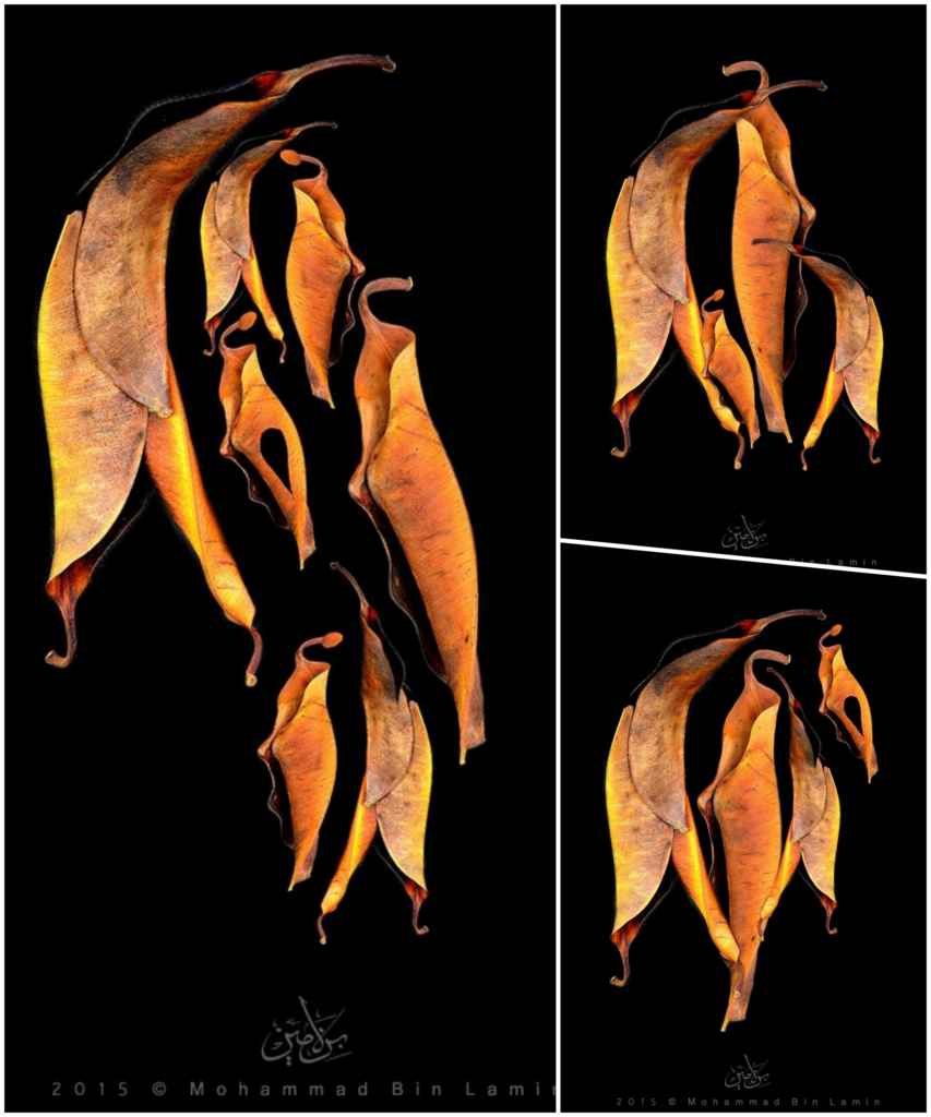 أوراق خريفية، من اعمال التشكيلي الليبي محمد بن لامين